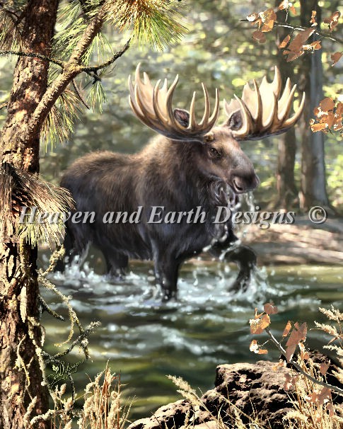 Moose Crossing - Click Image to Close